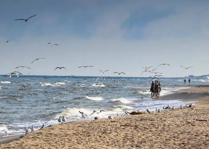 Soul Homes Боболин